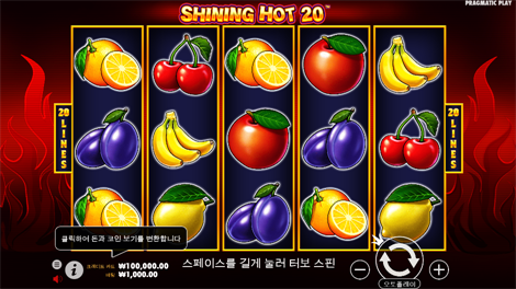 트레져 와일드